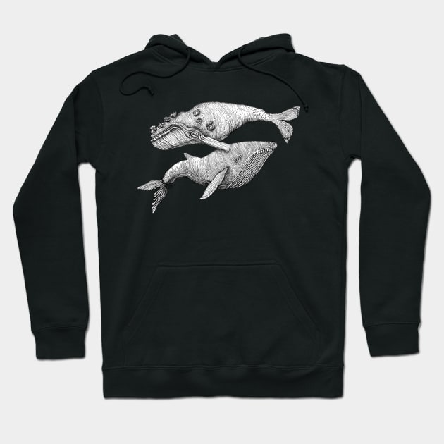 A Couple of Whales Hoodie by dotsofpaint